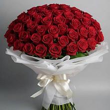 Букет 101 Красная роза Блэк Мэджик в Тутаеве