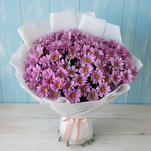 Букет цветов из:  Хризантемы в Тутаеве