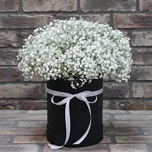 Цветочная композиция из Гипсофила в шляпной коробке в Тутаеве