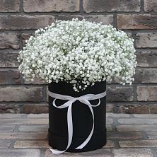 Цветочная композиция из Гипсофила в шляпной коробке в Тутаеве