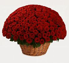 Премиум букет из: Розы в Тутаеве